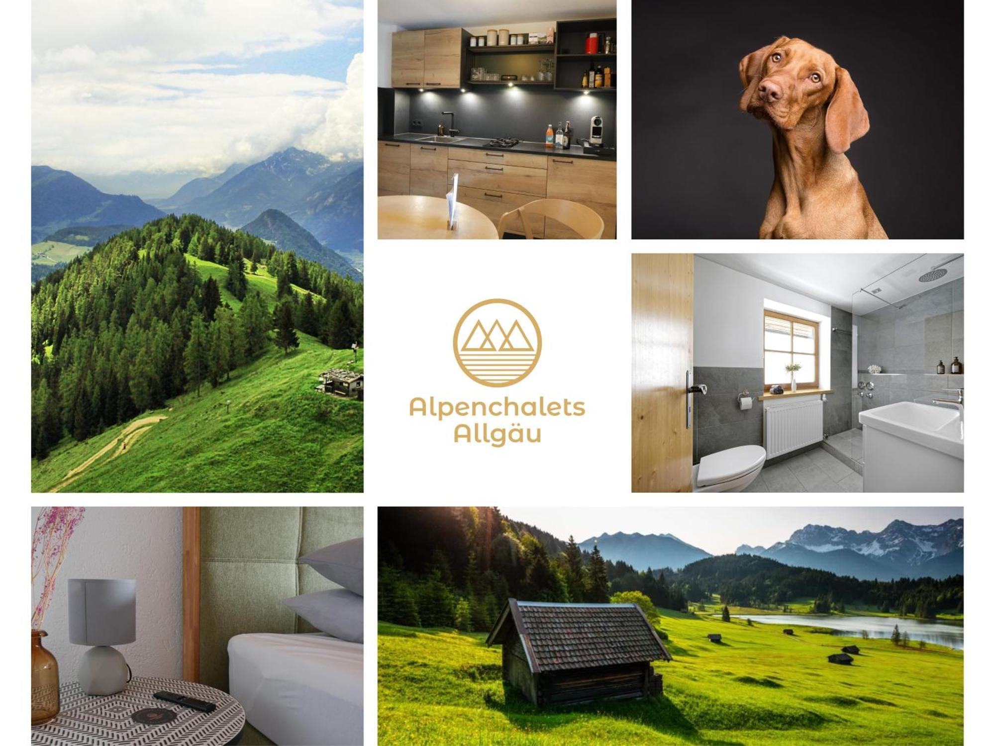 Apartment Allgäuer Alpenchalets: Cozy Mountain Retreat With Dog-friendly Options Immenstadt im Allgaeu